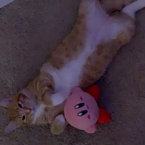 Meet your Posher, Dylan